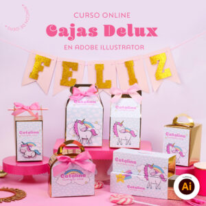 Cajas Delux en Illustrator